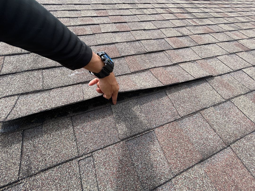 Lifted and creased asphalt shingles exposed by hand showing roof damage before tarp install