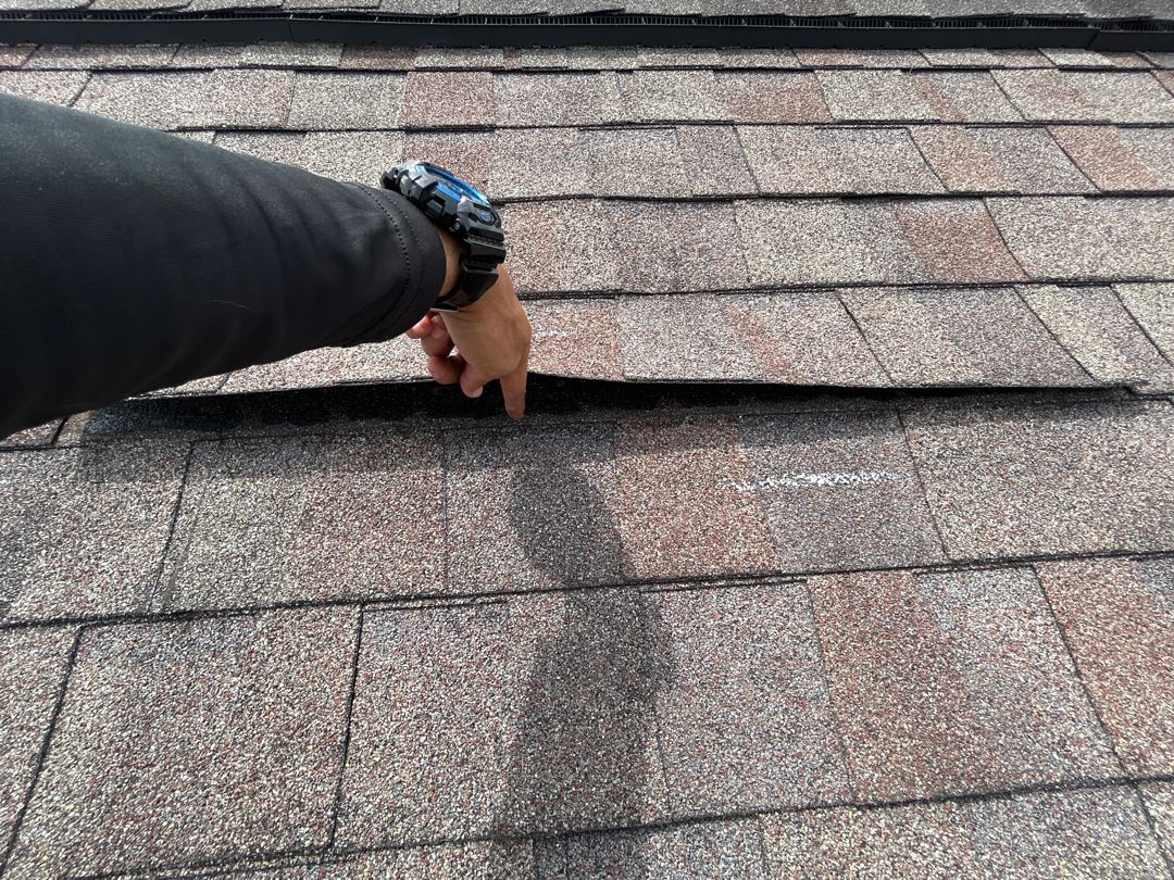 Second view of lifted shingle row revealing exposed underlayment