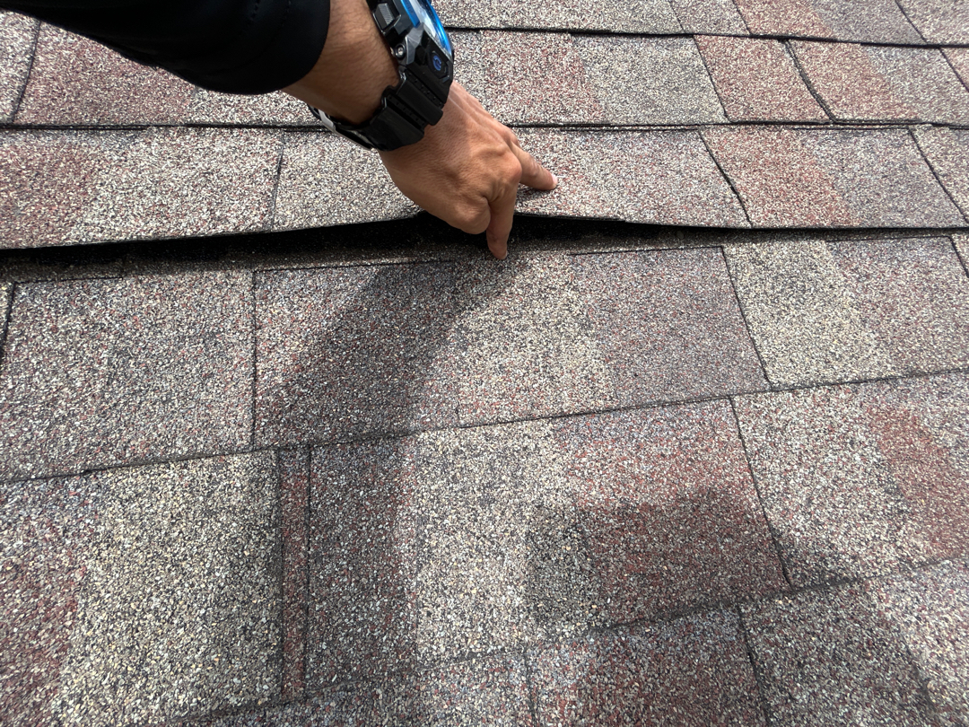 Close-up of creased and lifted shingle tab pulled back by hand